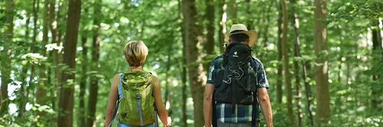 „Pilgern ist Heimweh und Fernweh zugleich“ Pilgernd spirituelle Orte in der Umgebung von Kohren-Sahlis erkunden