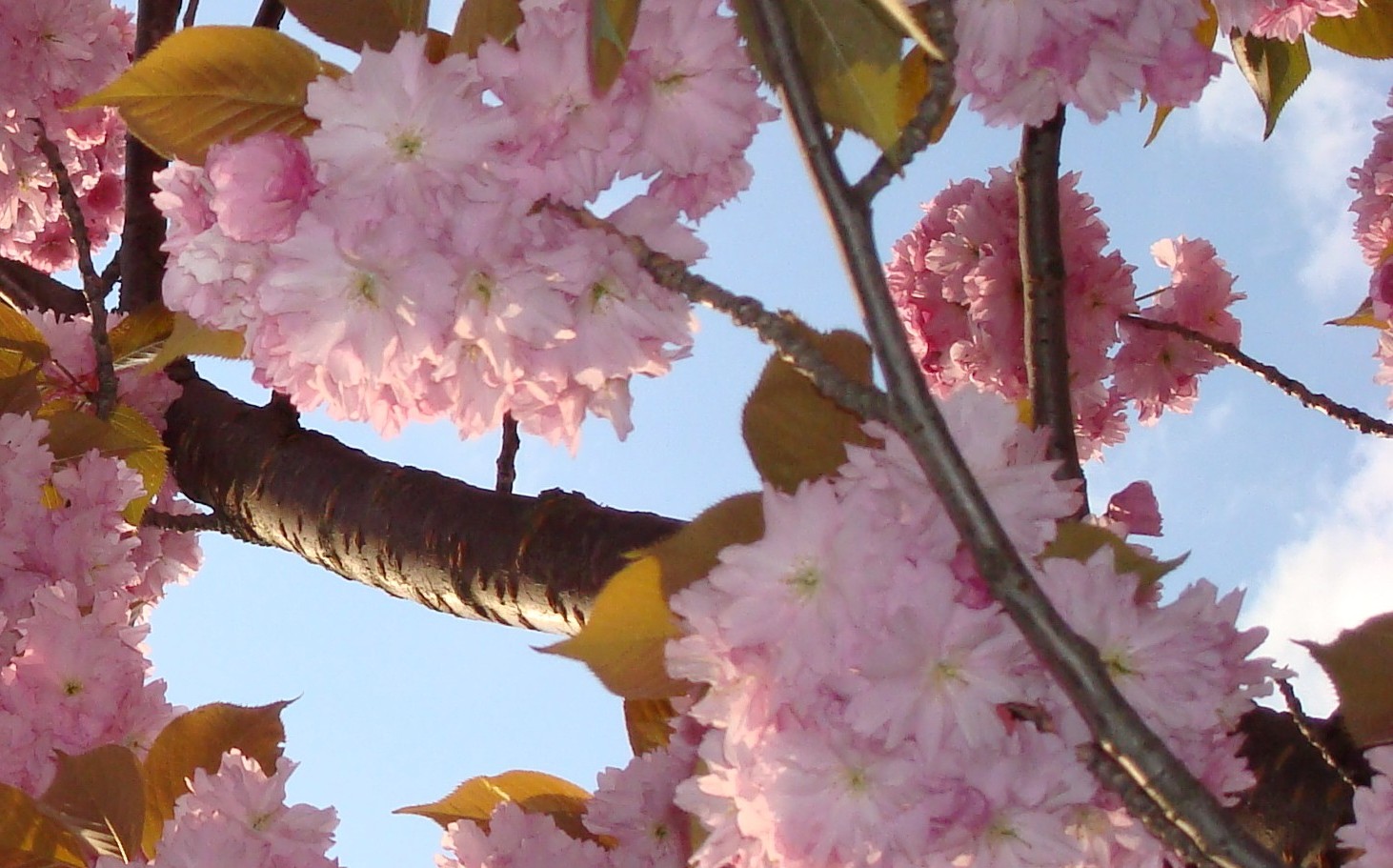 Mitten im Leben. Neubeginn Wechseljahre